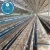 Import Above 95% egg production Chicken battery cage design for poultry farm(Guangzhou Factory) from China