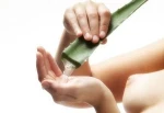 Aloevera Gel Juice / Aloebarbadensis