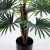 Import Artificial Trees indoor green tree 55*55*58CM Faux Kwai Palm in pp pot/lvs9 from China