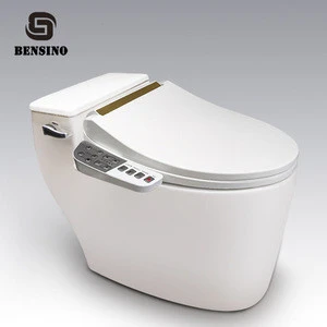 Automatic Cleaning Damper Cushion Cover Water Jet Price Machine Thin Smart Slow Down Lid Electric Bidet Toilet Seat