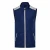 Import Autumn Golf Waistcoat Sports Golf Clothes Men OEM Golf Vest from China