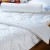 Import Beautiful Design Exceed Down Polyester Kids Wholesale Quilt Comforter from China