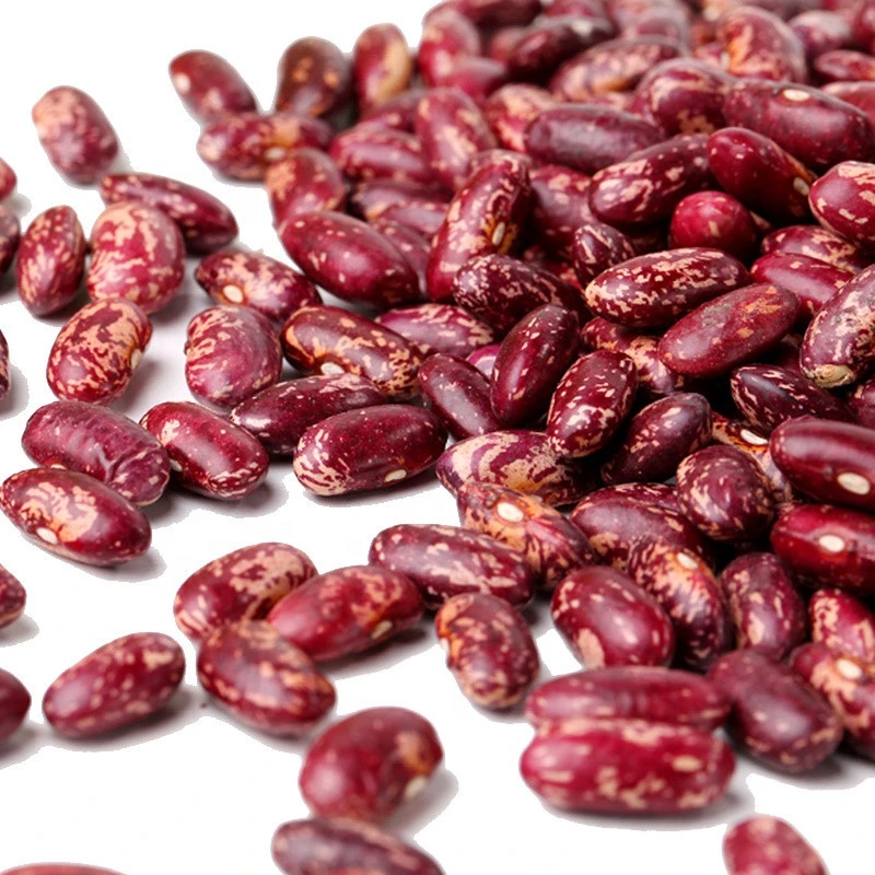 Best Quality Red/White/Black/Light Speckled Kidney Beans - Bulk Wholesale Kidney Beans