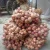 Import Best selling fresh red onion in Vietnamese new crop from Vietnam