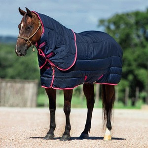 Blue with Red Binding Horse Stable Rug for sale