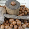 Brazil Macadamia nuts, roasted macadamia, organic macadamia nuts( PHOEBE)