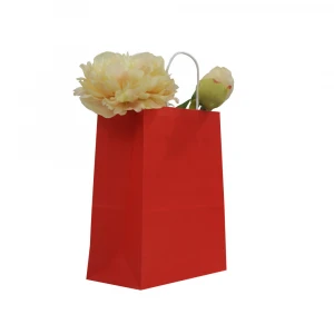 BSCI Audit Wholesale High Quality Kraft Cusotmized Paper Gift Bag
