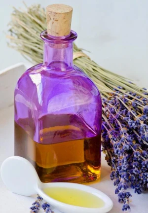 Bulk fragrance lavender essential  oil wholesale price