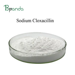 Bulk supply High Purity 99% Anti-infective Sodium Cloxacillin