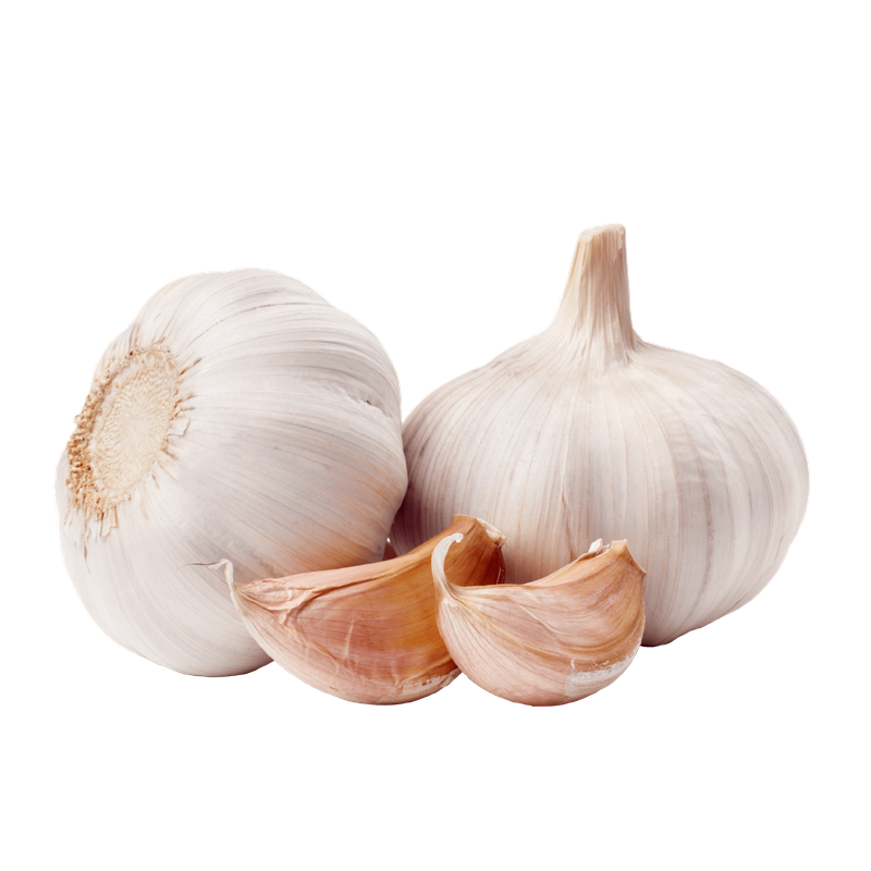 buy 2020 Fresh Chinese normal white garlic for sale