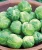 Import Buy Fresh Brussels Sprouts from USA