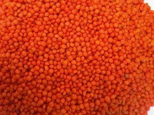 CANADA GREEN AND RED LENTILS