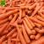 Import Carrot fresh organic carrots newest crop cheap price in bulk S M L professional export fresh carrot from China