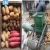 Import cassava washer peeler crusher | starch extractor from China