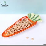 Ceramic Serving Fruit Platter Plates Carrot Shape