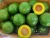 Import Cheap Fresh  Green Avocado for sale from South Africa