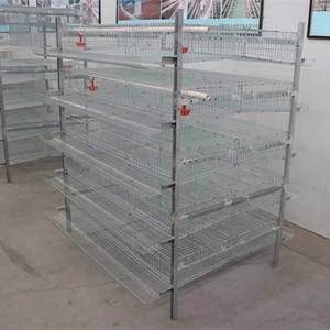 Cheap Price Full Automatic H Type Battery Layer Quail Cage For Sale