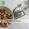 Chinese broad beans fava beans for sale babas feve bean
