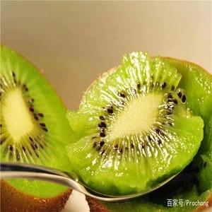 Chinese Chips Organic Dried Kiwi Fruit