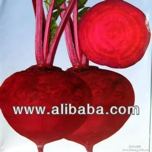 Chinese fresh red beetroot for sale oil based food color organic colouring for food