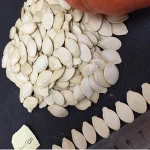 Chinese  shine skin pumpkin seeds in shell 10-11mm