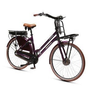 City Cargo Bicycle Woman Electric Bike New Ebike