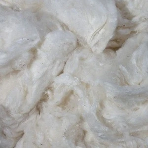 COMBER NOIL RAW COTTON / WEB COMBERS / comber noil raw catton for sale