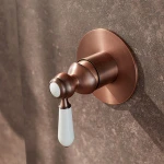 combination toilet shower CBT042-250 presonus digital mixer bathroom products