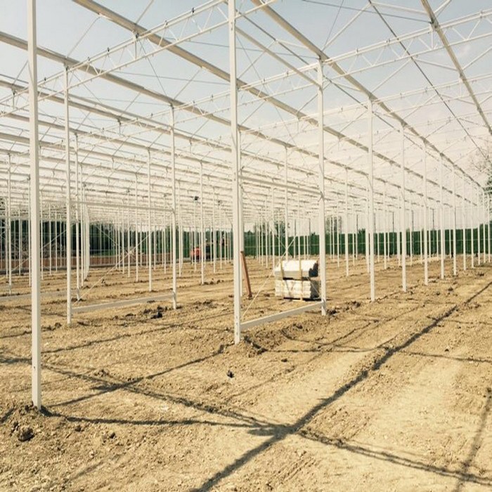 Commercial Patterned Tempered Agriculture Glass Greenhouse