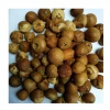 Competitive Price Betel Nuts / Whole And Split Betel Nuts Best Quality Wholesale From Thailand