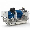Cost effective100kw Natural Gas CHP Generator