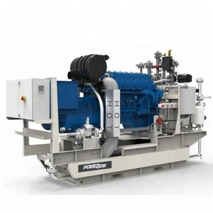 Cost effective100kw Natural Gas CHP Generator