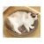 Import Cricle Cat Scratch Broad Pet Play Broad Sleep Bed Can Play Can Scratch and Grind Claws and Sleep from China