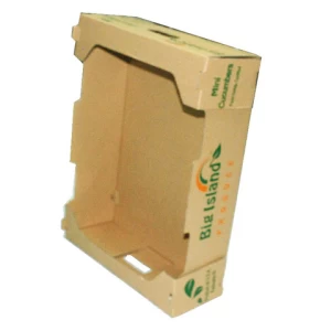 Custom caja de carton para empacar banano fruit paper kraft banana carton box