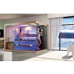 custom indoor modern home combined cabin 4 people large steam ozone shower dry sauna room