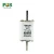 Import Delixi High Quality NH1 250A 500V Ceramic Fuse from China