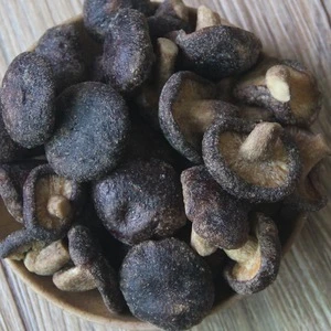 Detan Snacks healthy dried organic shiitake  mushroom chips