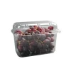 Disposable Plastic fruit Box Take-away Box Plastic Food Container