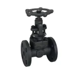 DN50 WCB  Stainless Steel  Forged Socket Welded Globe Valve Forged Steel Globe Valve  Manual Globe Valve