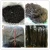 Import Dried Seaweed Laver Nori, Agar-Agar for sale Chinese food wholesaled Chinese Seafood from China