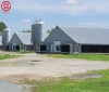 Easy installation steel structure building prefab large chicken poultry farm house