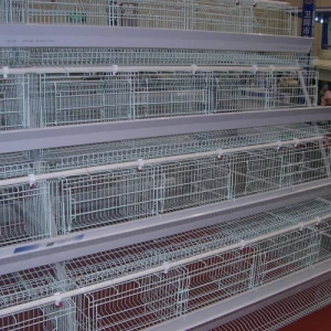egg chicken cage for chicken layer cage for 50000chicken