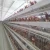 Import Egg layer broiler battery chicken animal cages for for zambia from China