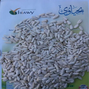 Egyptian made factory direct premium bulk sunflower seeds wholesale