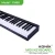 Import Electric 88 key keyboard piano from China PH88 from China