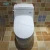 Import Electronic Bidet Toilet Seat With Bidet from China