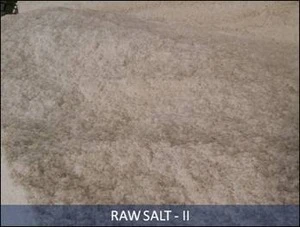 ESTUZ INDUSTRIAL RAW SALT