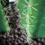 Import Factory directly  ornamental bonsai plants decorative artificial cactus plant from China