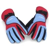 Factory Hot Selling Outdoor Riding Windproof Gloves Waterproof Ski Gloves Warm Riding Gloves