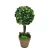 Import Factory price artificial grass ball bonsai tree faux natural evergreen topiary boxwood ball plants potted  for sale from China